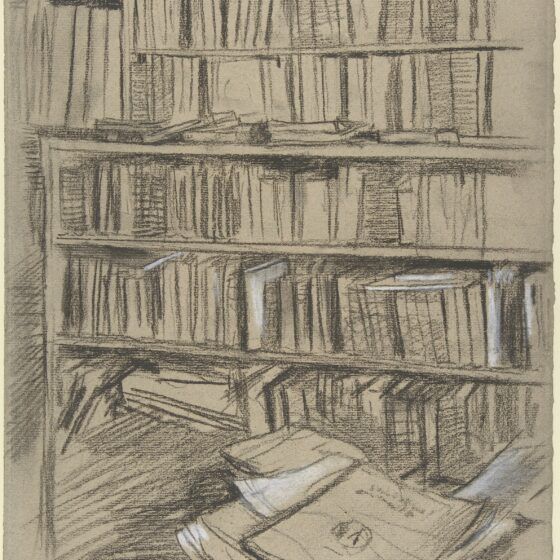 Bookshelves-Study-for-Edmond-Duranty-Edgar Degas-information-hoarding
