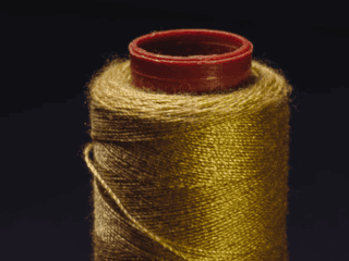 golden-thread-posture-body-domain-tenet-andreia-philosophy