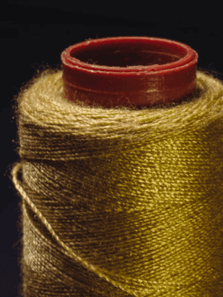 golden-thread-posture-body-domain-tenet-andreia-philosophy