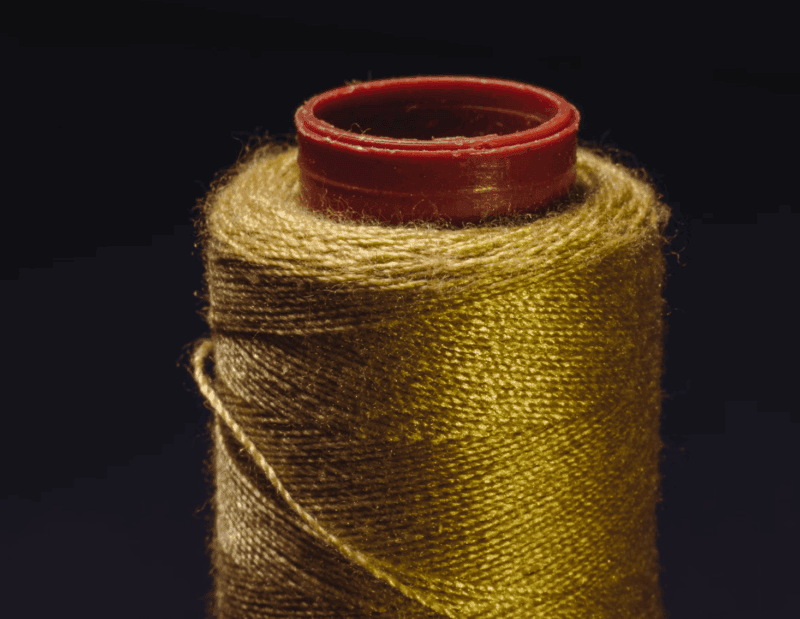 golden-thread-posture-body-domain-tenet-andreia-philosophy