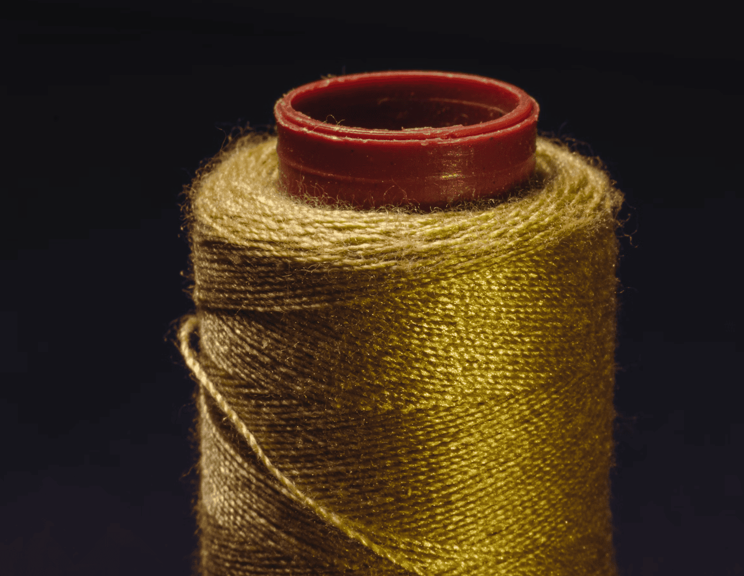 golden-thread-posture-body-domain-tenet-andreia-philosophy