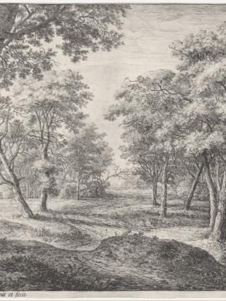 the-road-through-the-woods-anthonie-waterloo-met-museum-andreia-philosophy