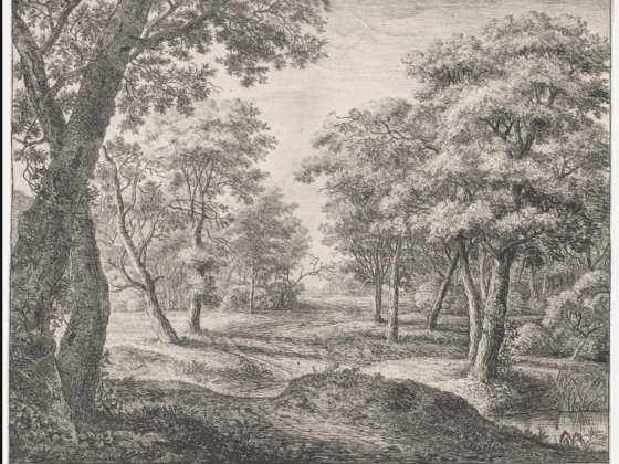 the-road-through-the-woods-anthonie-waterloo-met-museum-andreia-philosophy