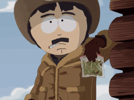 randy-marsh-weed-advice-bored