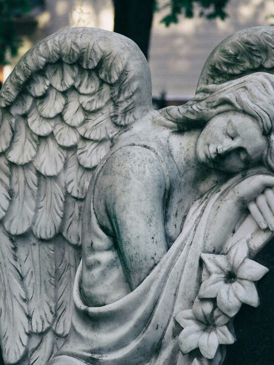 conversations-with-the-departed