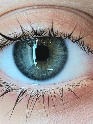 how-to-have-white-eyes-white-eye