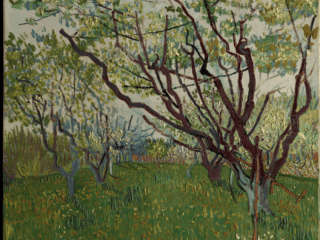 the-flowering-orchard-vincent-van-gogh-1888-the-met