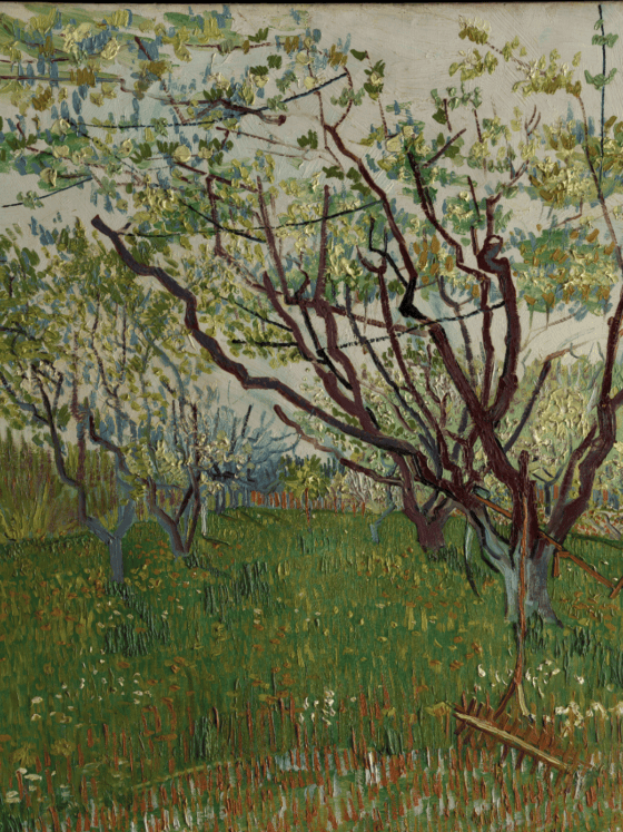 the-flowering-orchard-vincent-van-gogh-1888-the-met