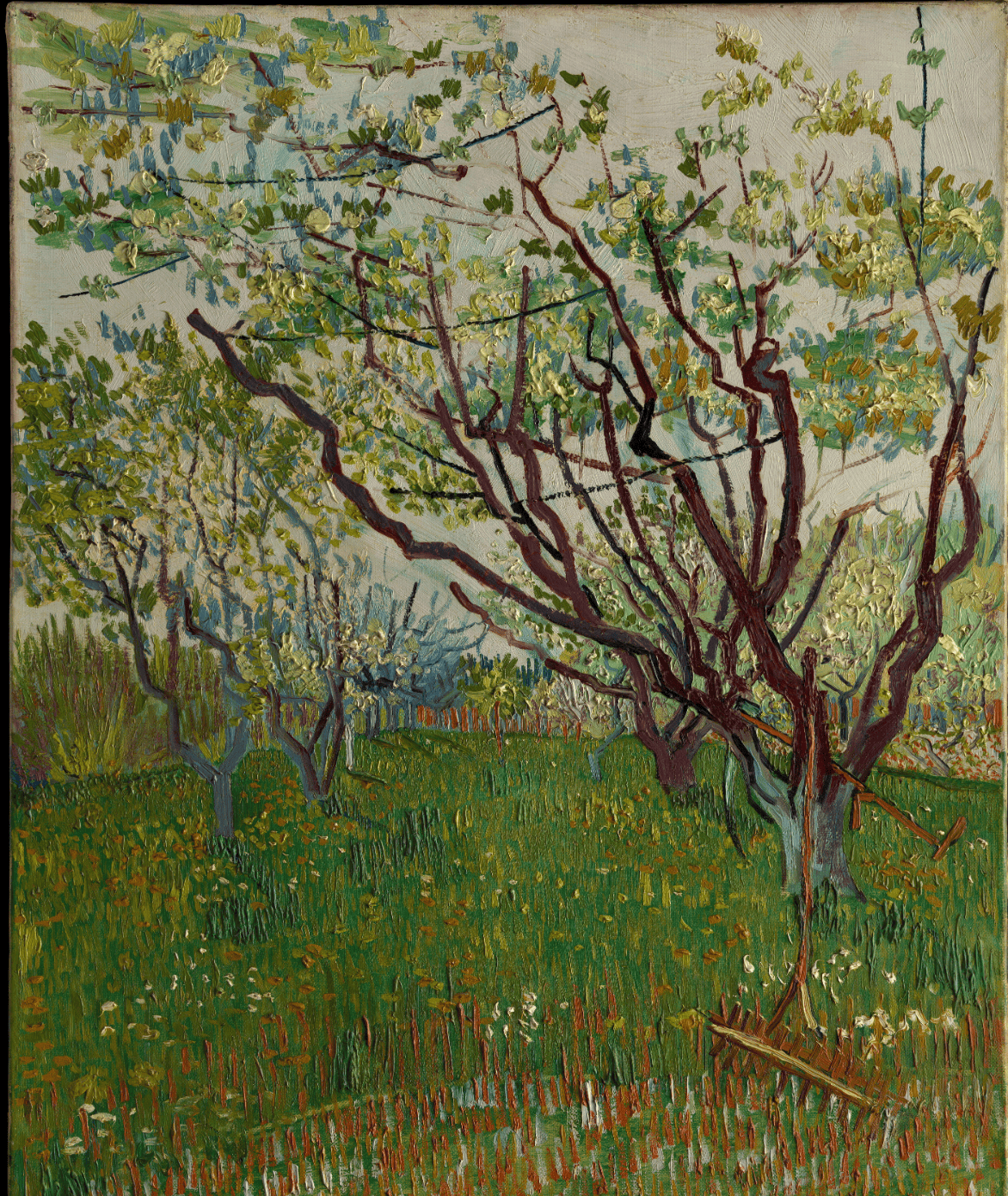 the-flowering-orchard-vincent-van-gogh-1888-the-met
