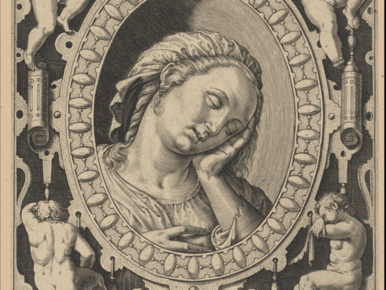 Sloth-Acedia-from-The-Seven-Vices-Hieronymus-Jerome-Wieri-1612-the-met